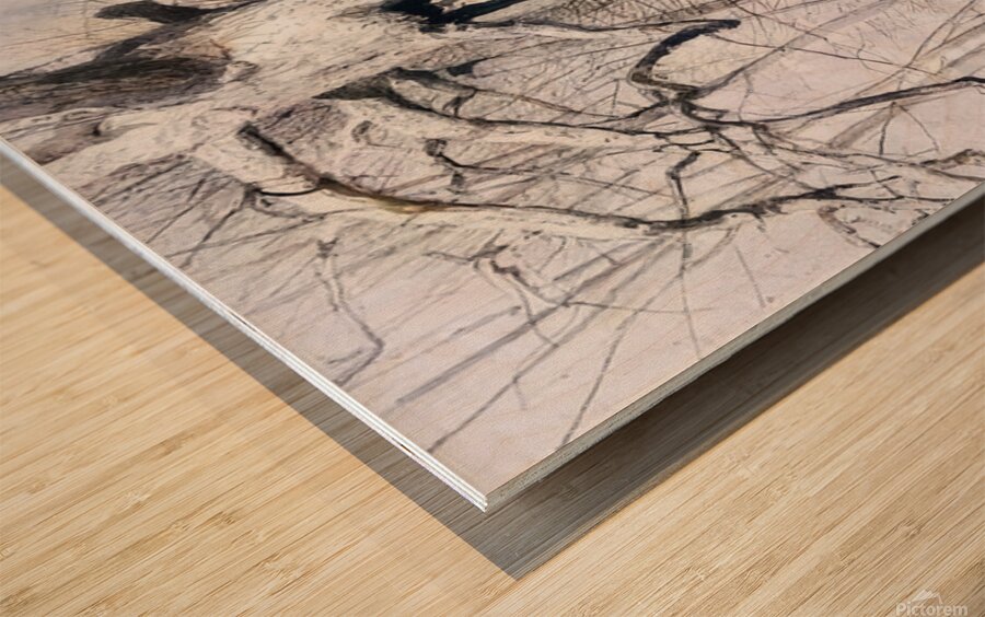 Walking Stick   Contemporary Realism - Andrew Wyeth Wood print