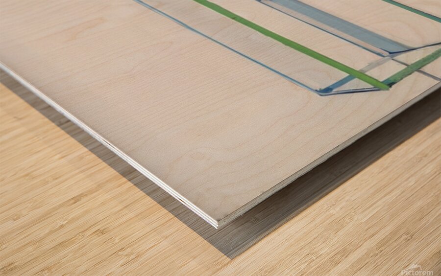 Wayne Thiebaud Wood print