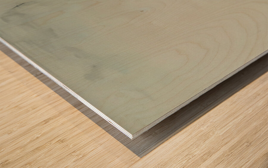 Wayne Thiebaud Wood print