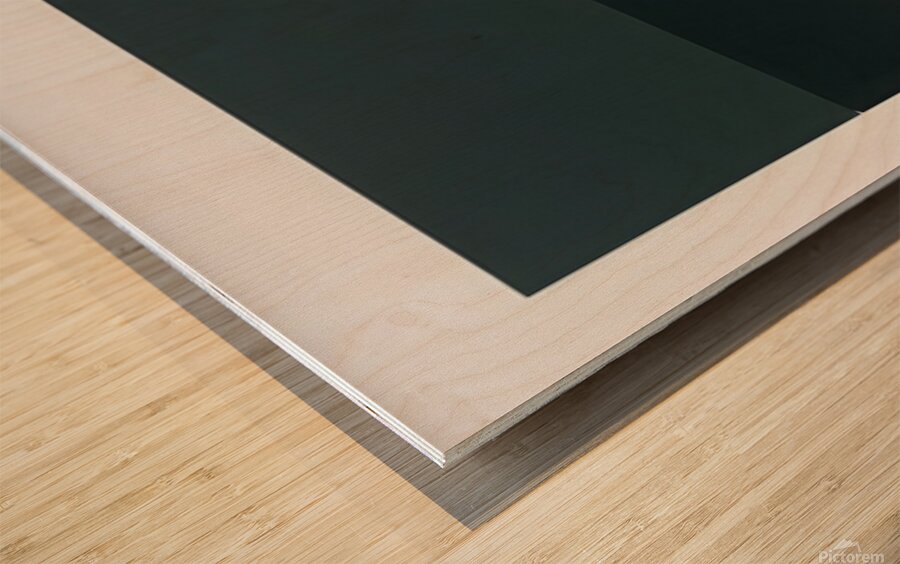 Adriatic   1973 - Brice Marden Wood print