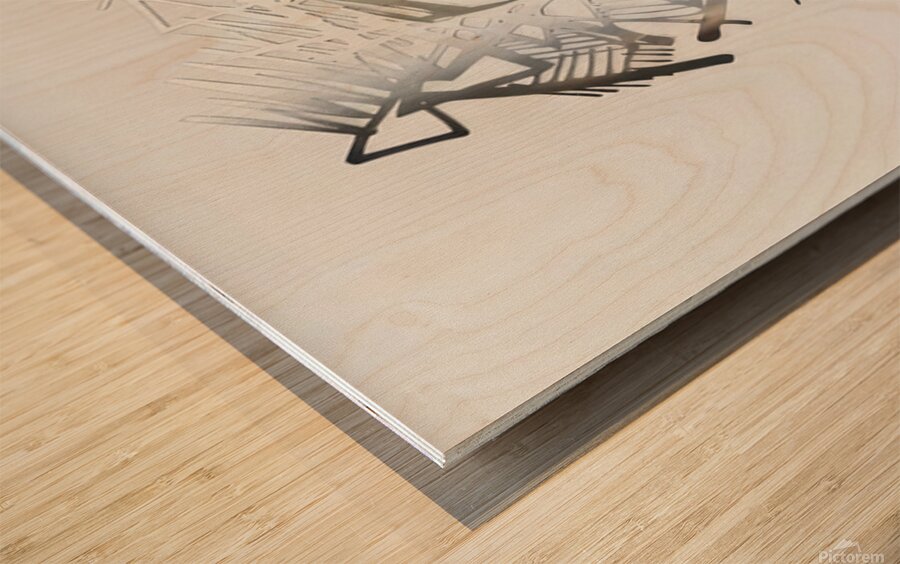 Art by Brice Marden  Wood print