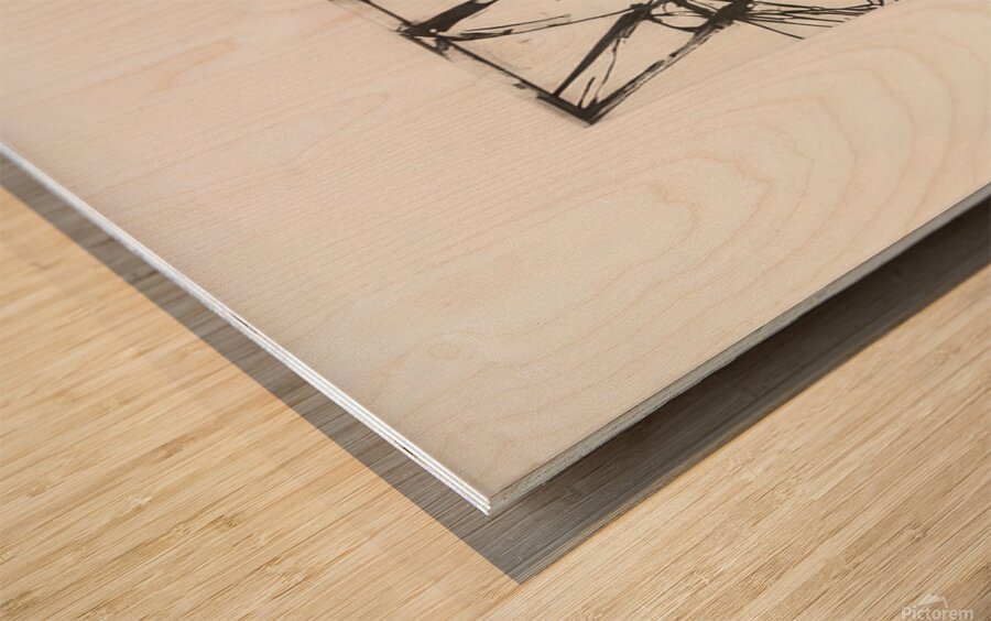 Art by Brice Marden   Wood print