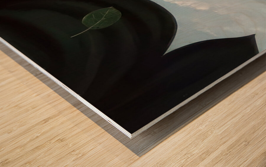 Rene Magritte Wood print