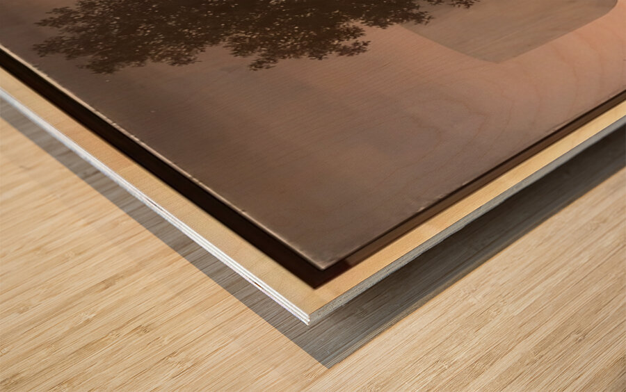 Rene Magritte Wood print