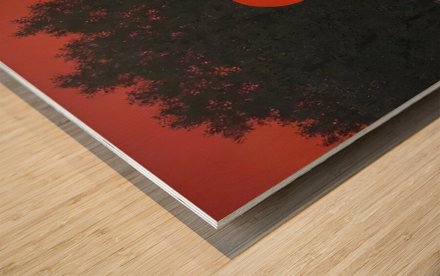 Rene Magritte Wood print