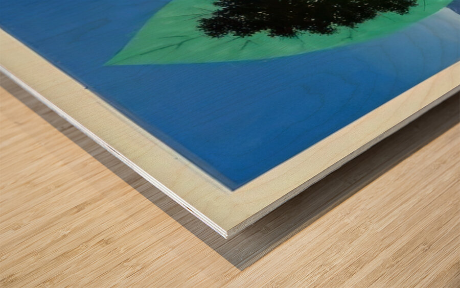 Rene Magritte Wood print