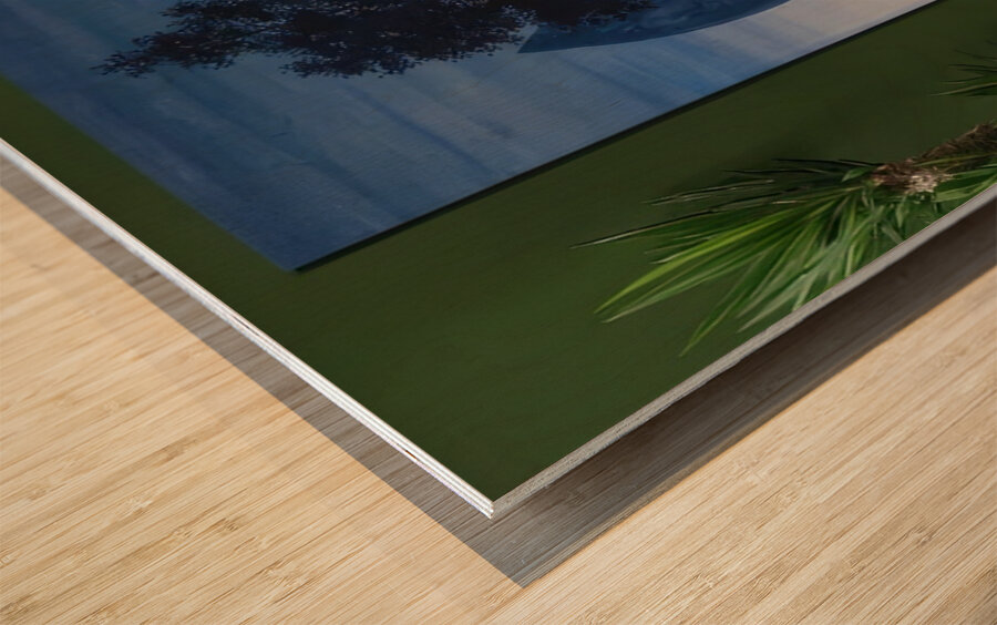 Rene Magritte Wood print