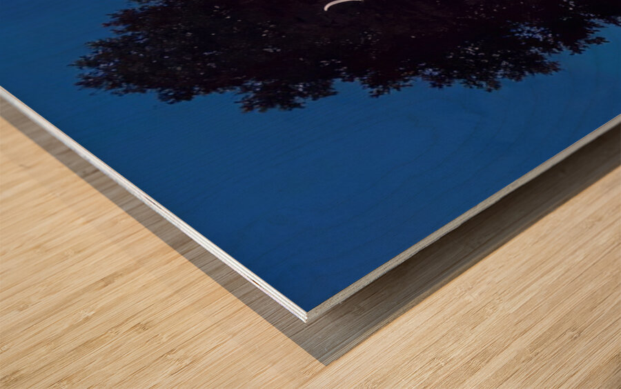 Rene Magritte Wood print