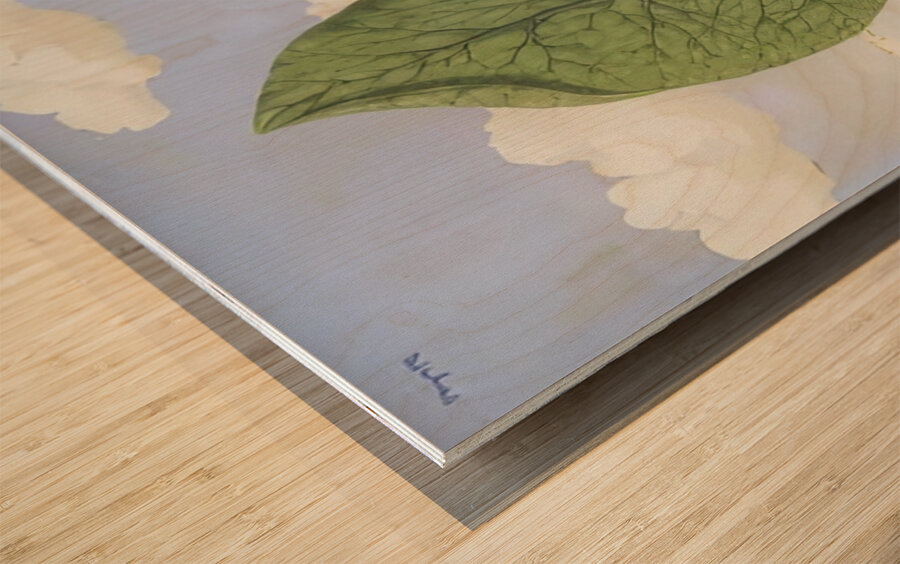 Rene Magritte Wood print