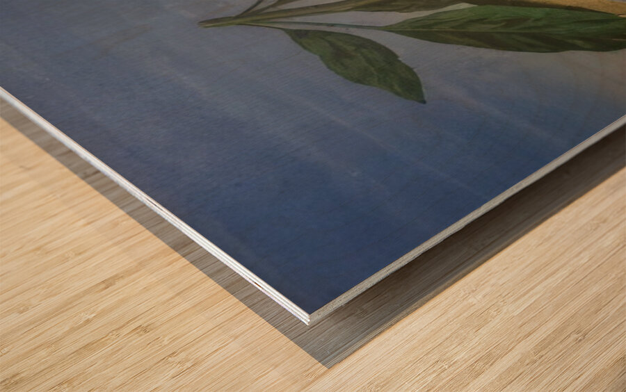 Rene Magritte Wood print