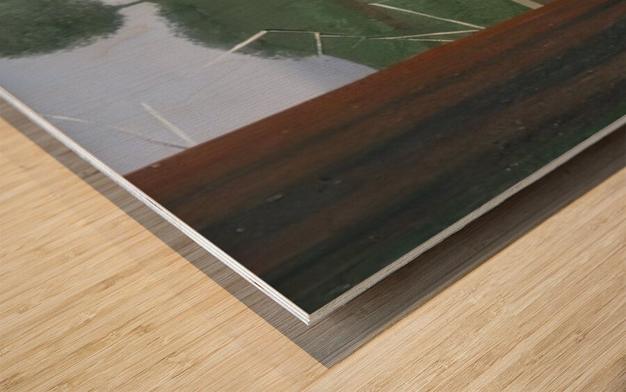 Rene Magritte Wood print