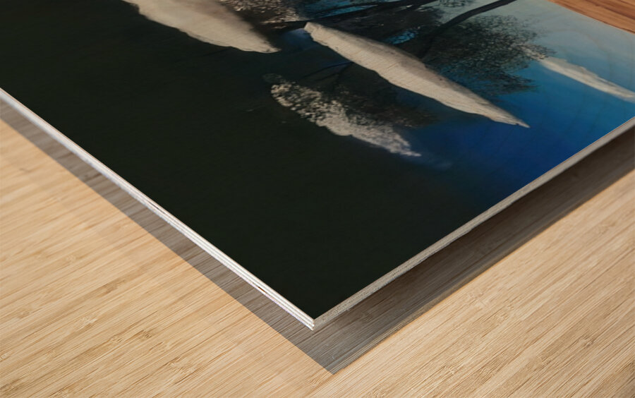 Rene Magritte Wood print