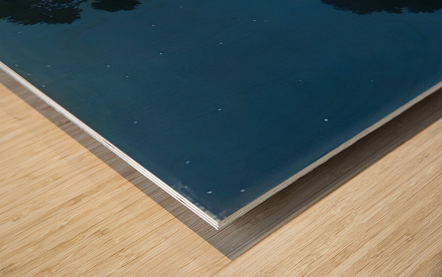 Rene Magritte Wood print