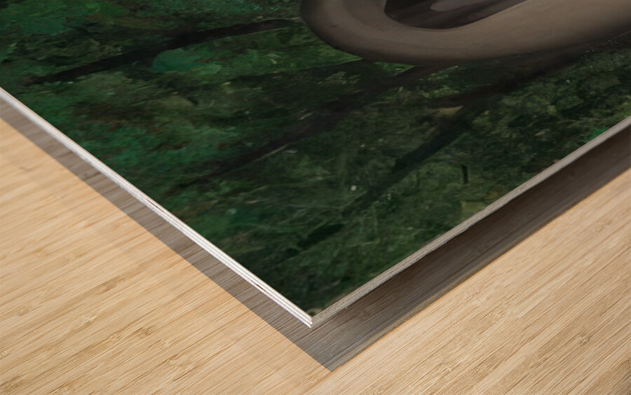 Rene Magritte Wood print