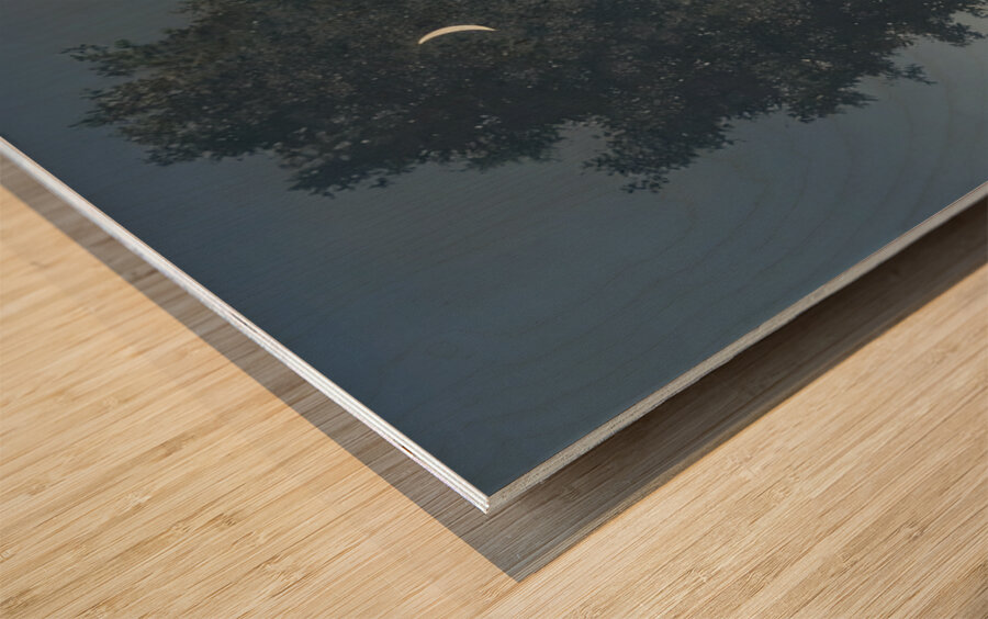 Rene Magritte Wood print