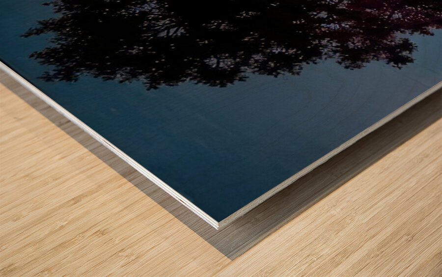 Rene Magritte Wood print