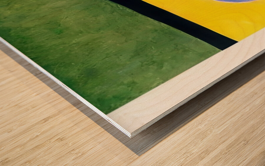 Joan Miró 30 Wood print