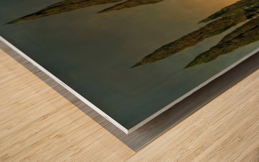 Maxfield Parrish 2 Wood print