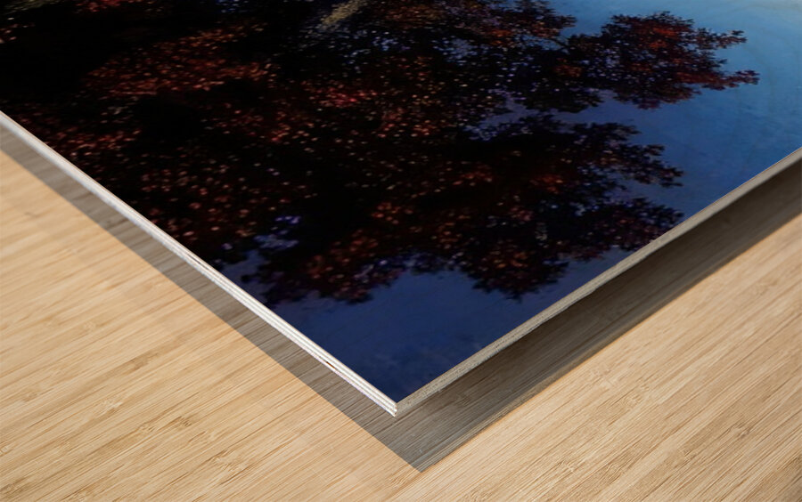 Maxfield Parrish 3 Wood print