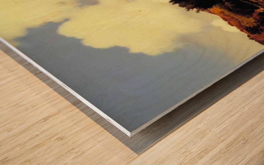 Maxfield Parrish 4 Wood print