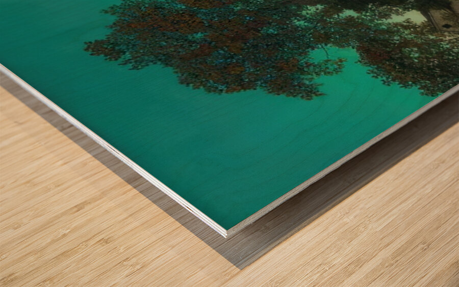 Maxfield Parrish 2 Wood print