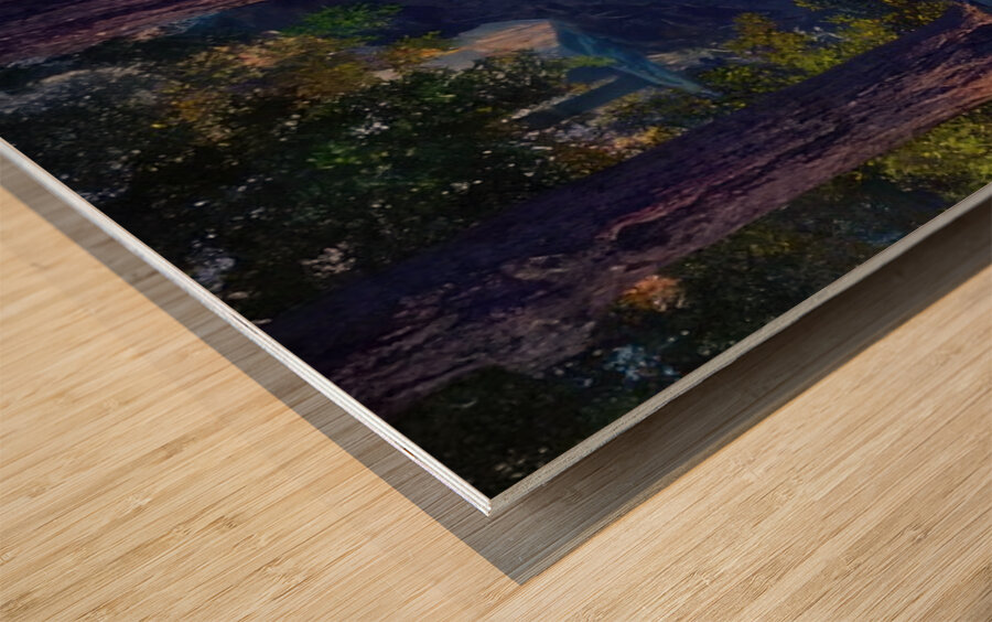 Maxfield Parrish 3 Wood print