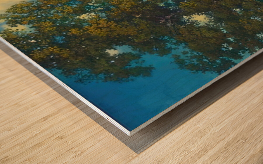 Maxfield Parrish 1 Wood print