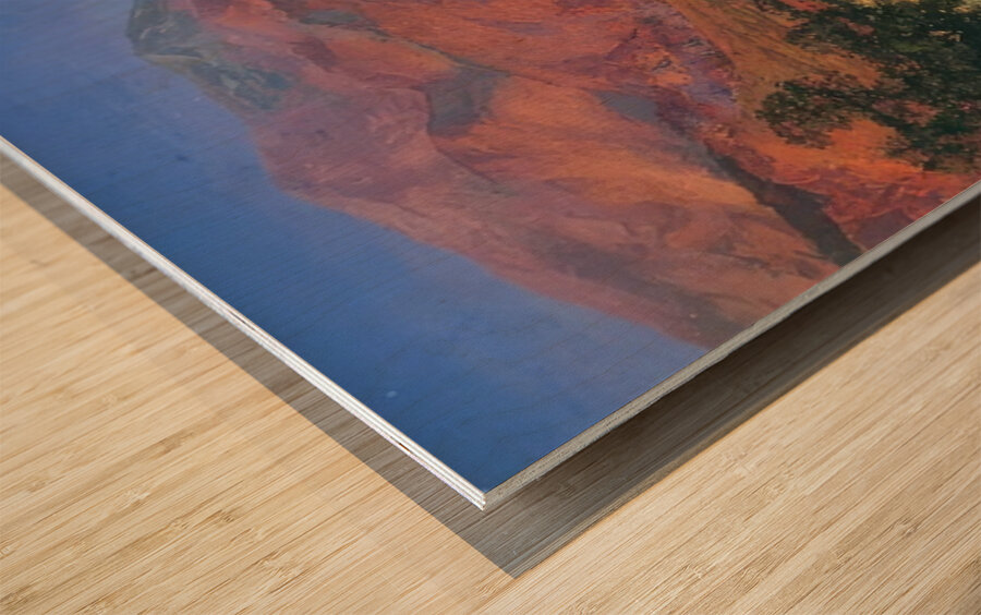 Maxfield Parrish 4 Wood print