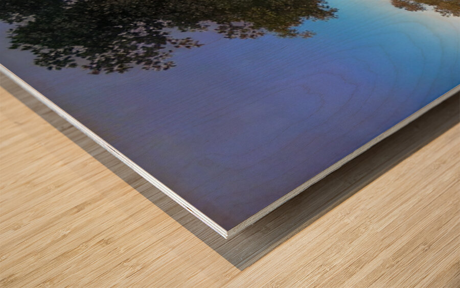 Maxfield Parrish 9 Wood print