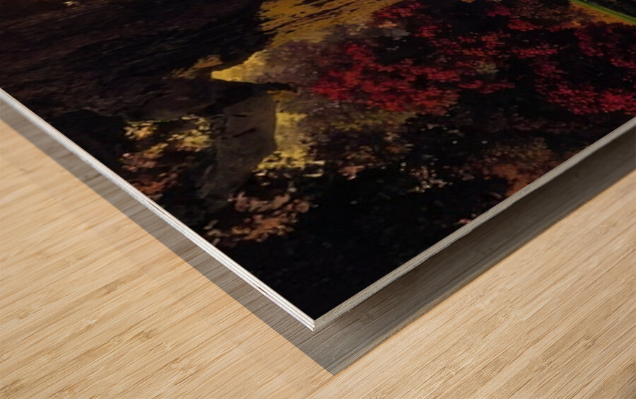 Maxfield Parrish 10 Wood print