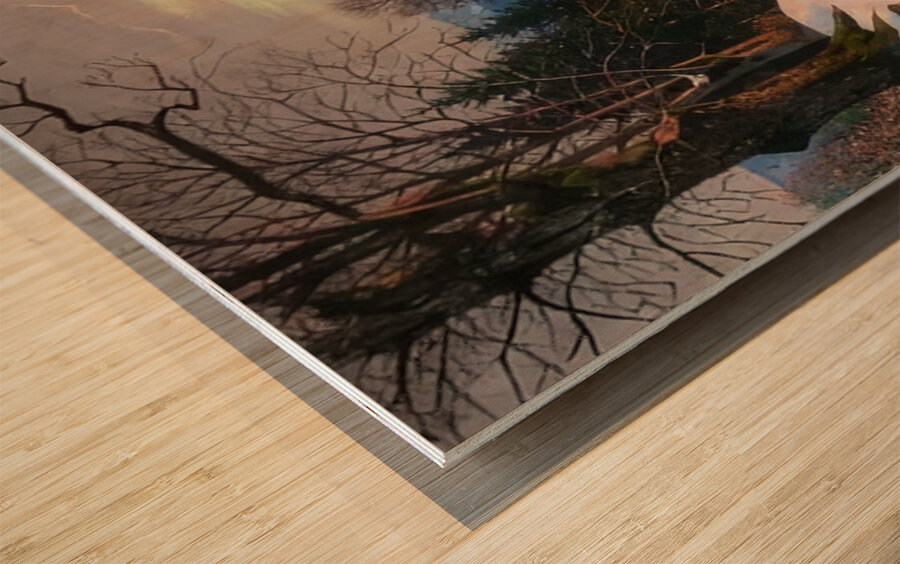 Maxfield Parrish 13 Wood print