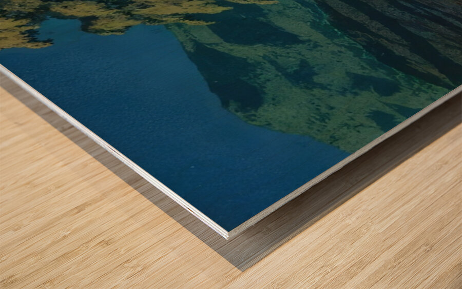 Maxfield Parrish 1 Wood print