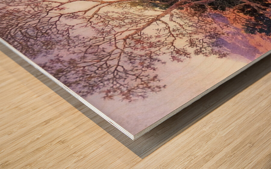 Maxfield Parrish 12 Wood print