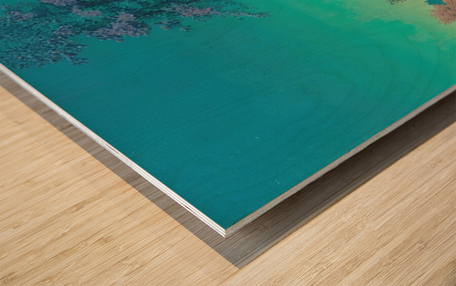 Maxfield Parrish 16 Wood print