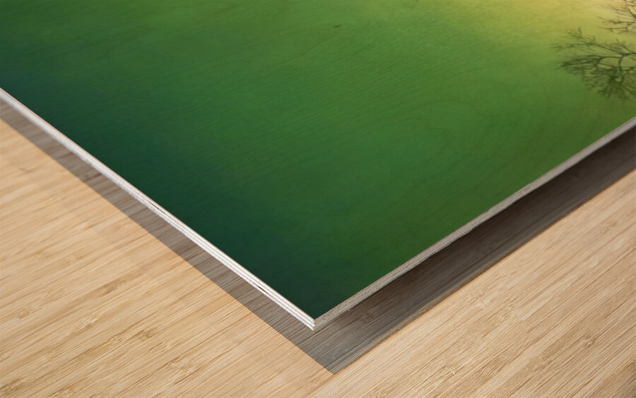 Maxfield Parrish 20 Wood print