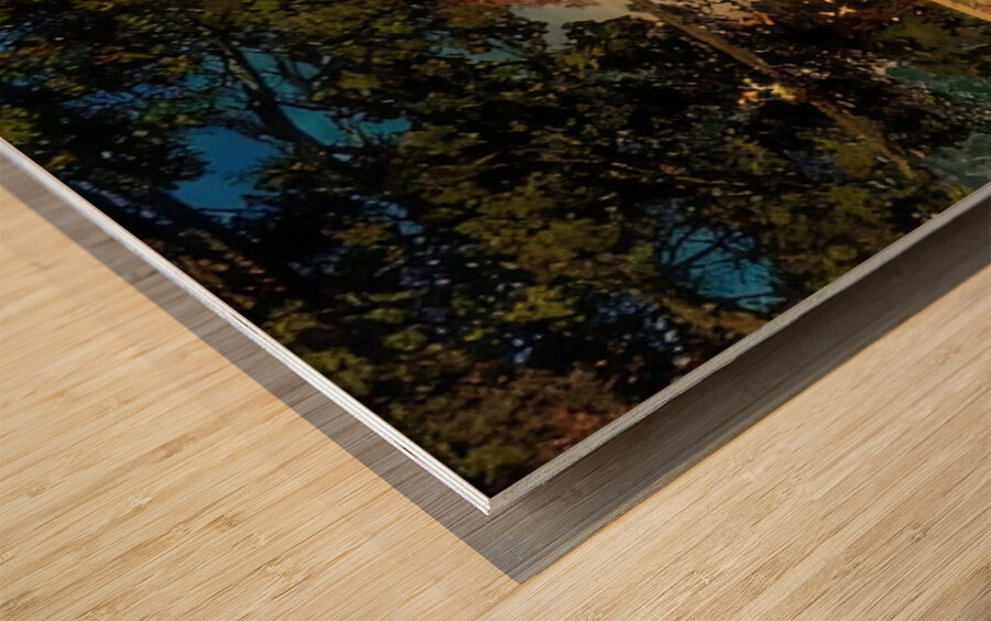 Maxfield Parrish 22 Wood print