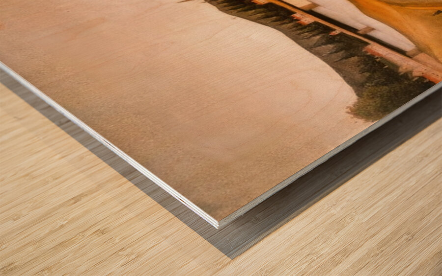 Henri Rousseau 5 Wood print