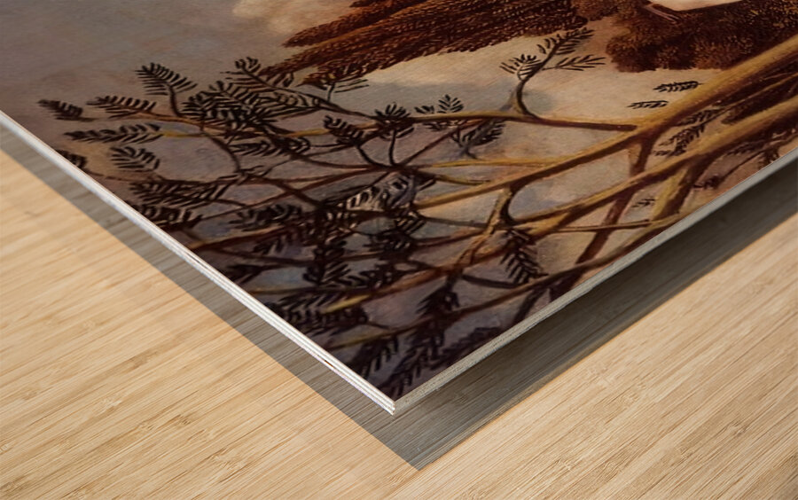 Henri Rousseau 9 Wood print