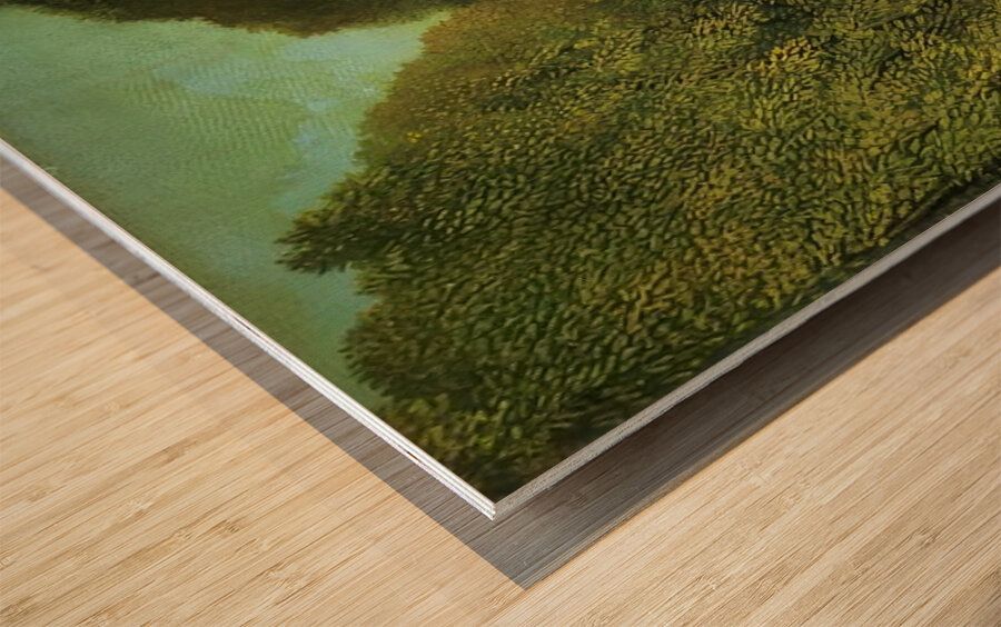 Henri Rousseau 11 Wood print