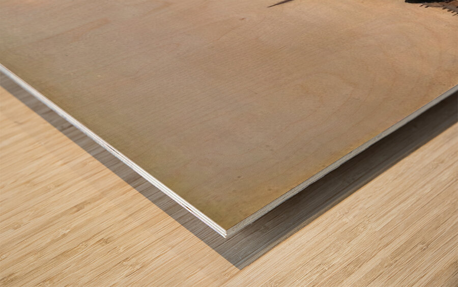 Henri Rousseau 17 Wood print