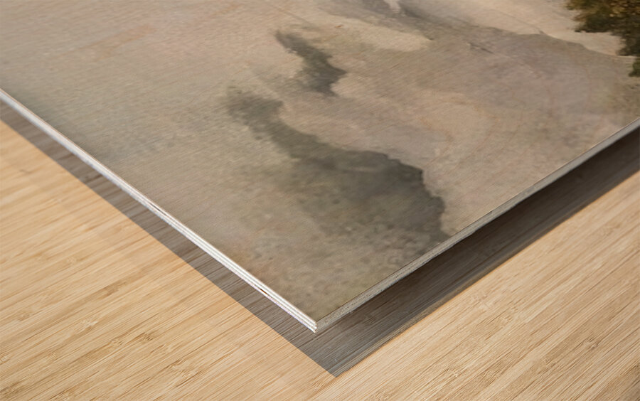 Henri Rousseau 47 Wood print