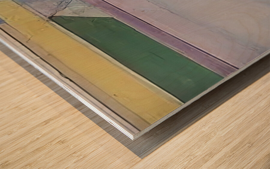 Richard Diebenkorn 5 Wood print