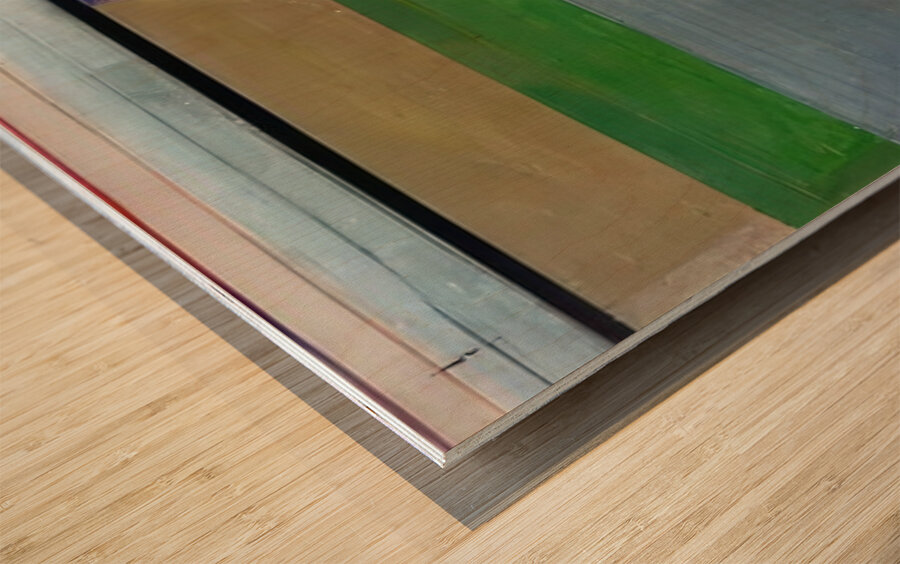 Richard Diebenkorn 32 Wood print