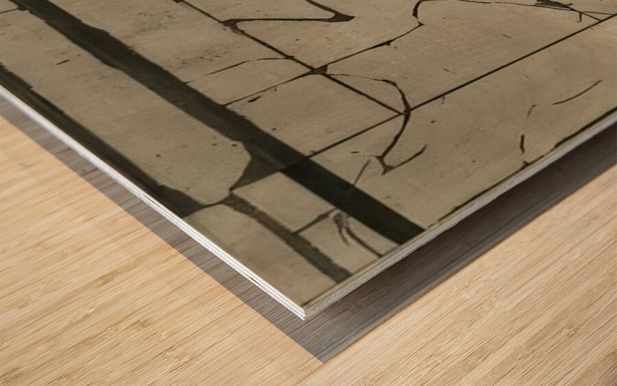 Richard Diebenkorn 8 Wood print