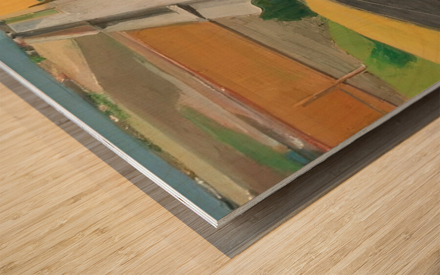 Richard Diebenkorn 15 Wood print