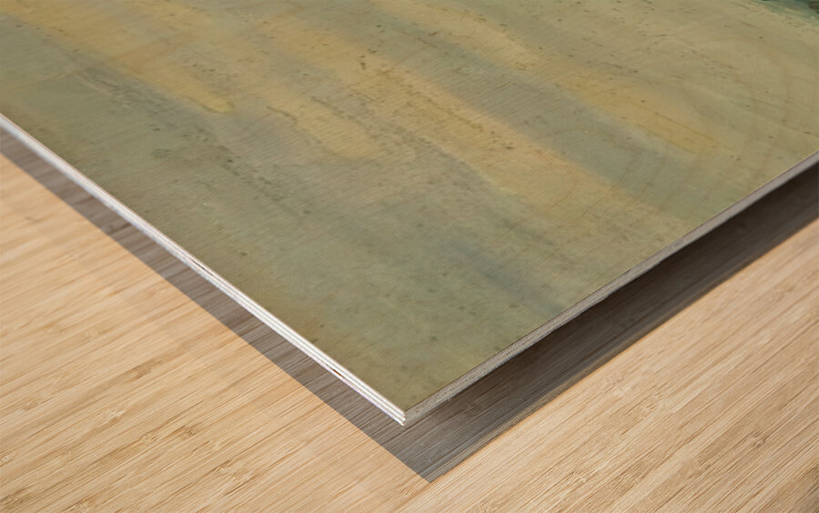 Armand Guillaumin 27 Wood print