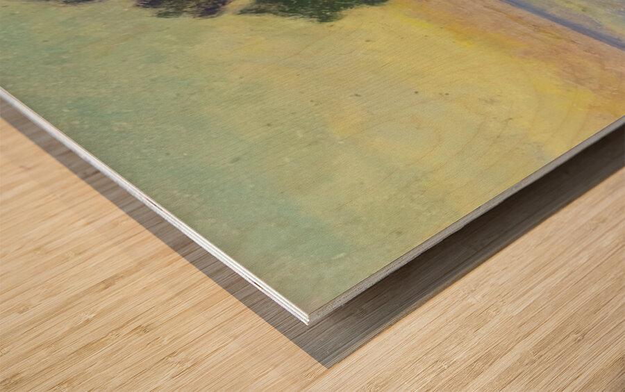 Armand Guillaumin 50 Wood print