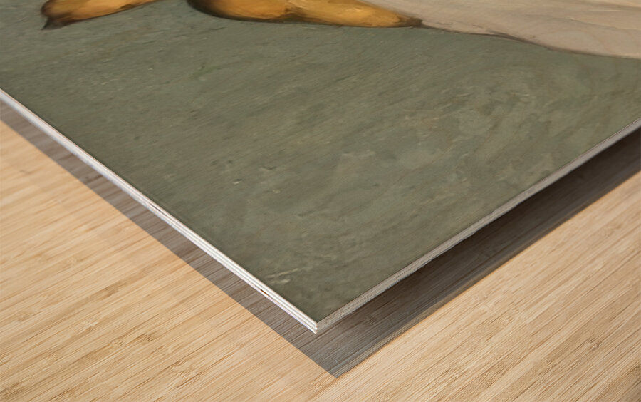 Emile Bernard 17 Wood print