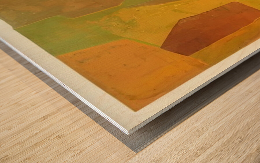 Serge Poliakoff 38 Wood print