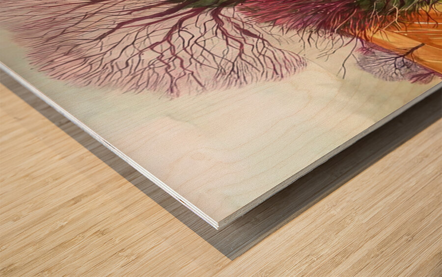 David Hockney 11 Wood print